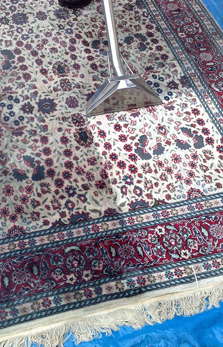 Rug